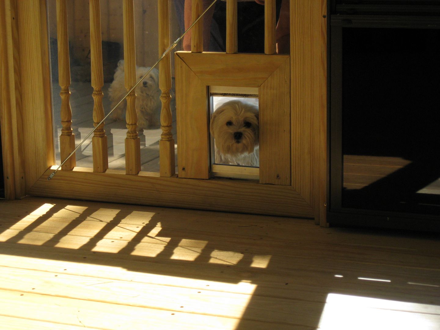 wooden 14 by 16 foot oval gazebo with doggy door